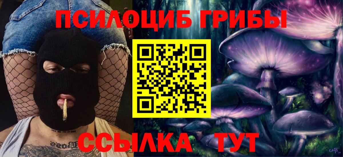 Псилоцибиновые грибы Psilocybine cubensis  Вход с VPN  Нерюнгри 