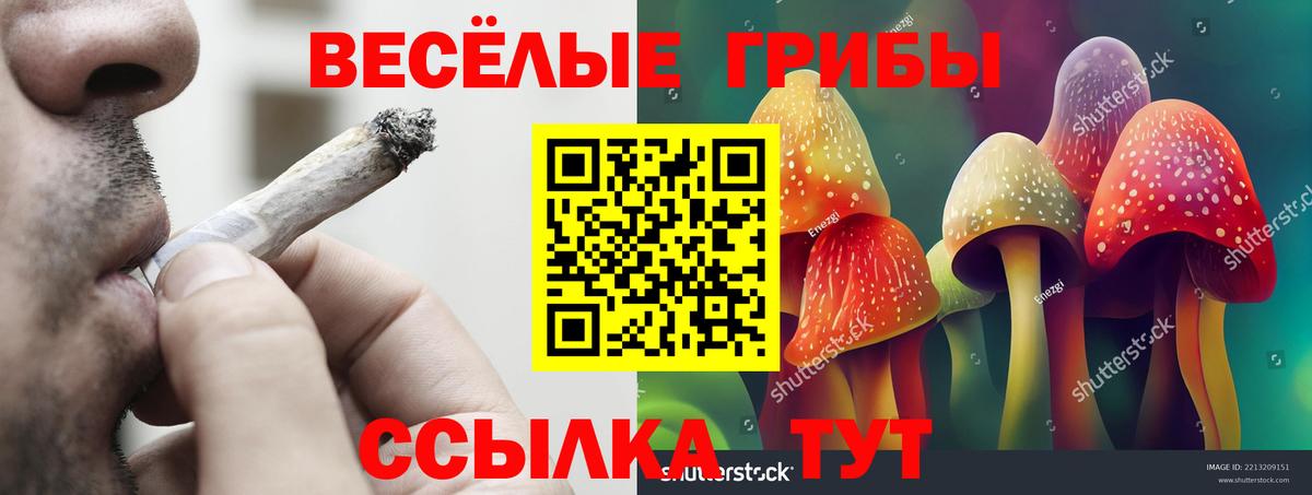 Галлюциногенные грибы MAGIC MUSHROOMS Нерюнгри